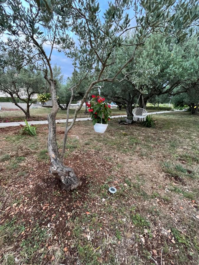 Apartman Oliva Zadar Exterior foto